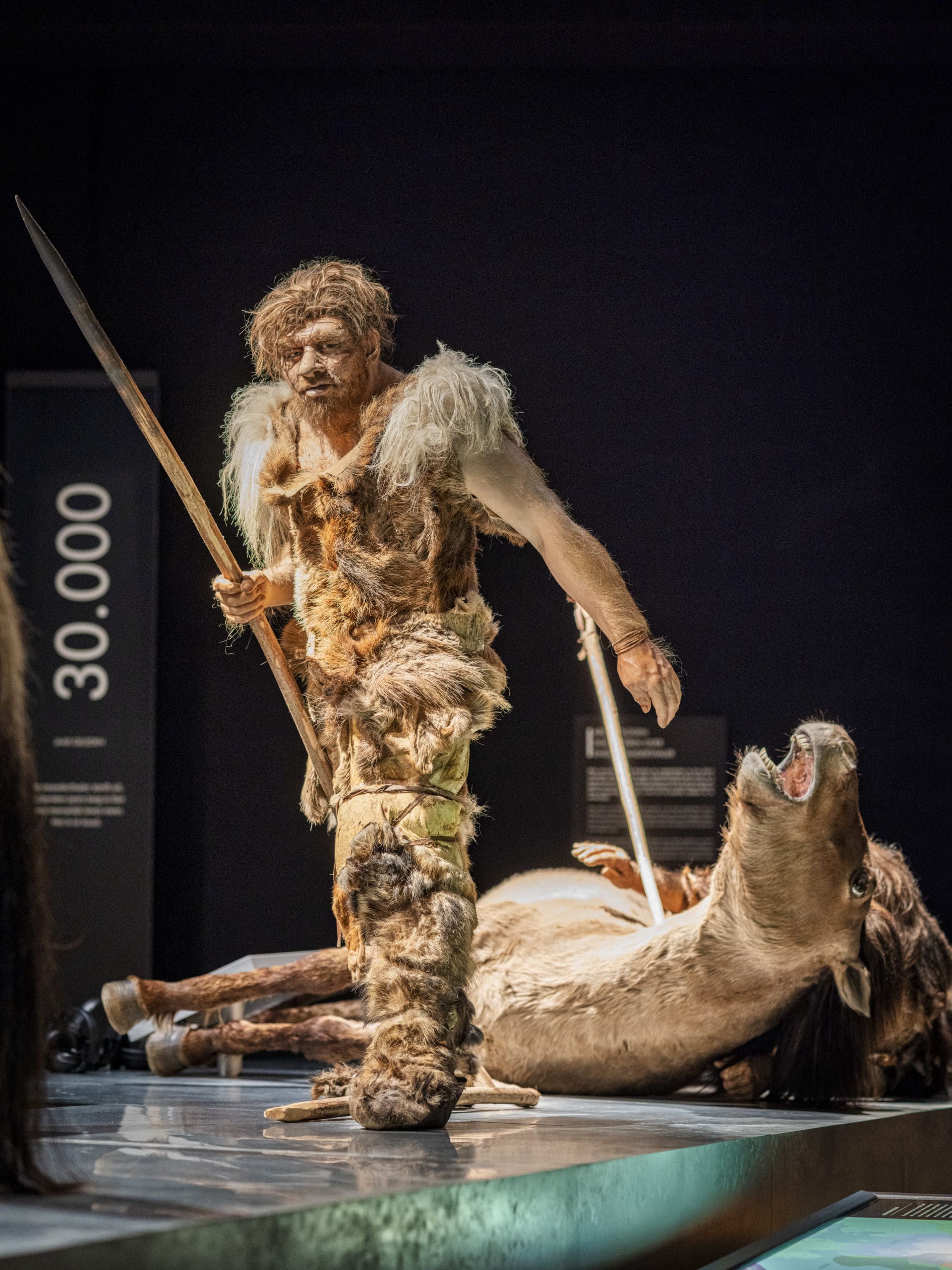 Visiteur de l'exposition permanente "De l'homme de Néandertal à l'homme gallo-romain" au Musée gallo-romain.